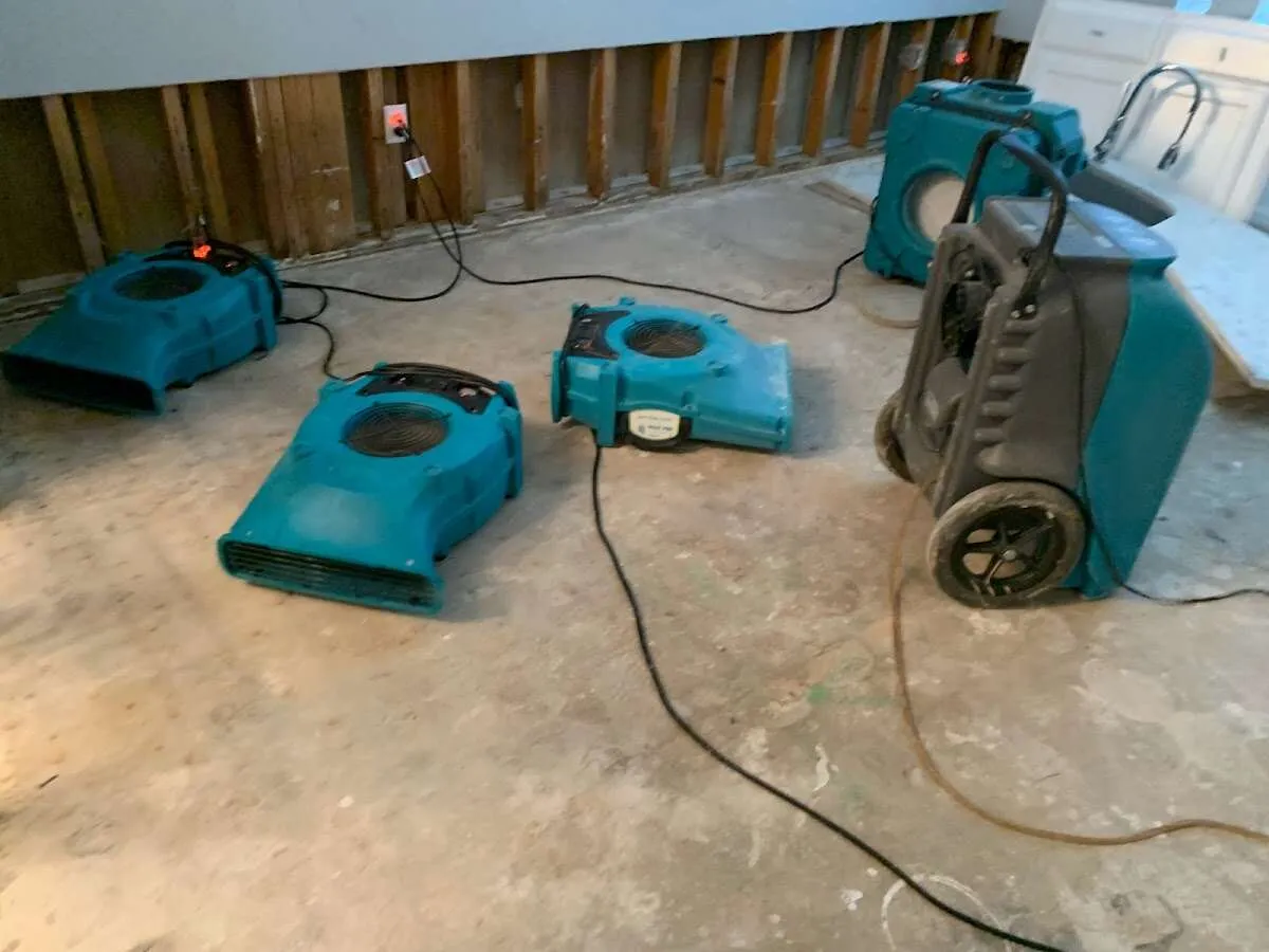 Drying & Dehumidification in Streamwood, IL